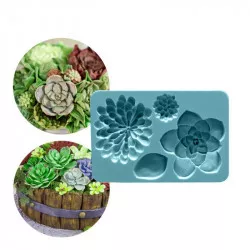 Silikonform für Sukkulenten, 12 × 8 cm