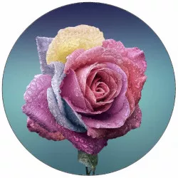 Essbares Papier-Rose mit Wassertropfen 19,5 cm