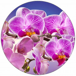 Essbares Papier lila Orchidee 19,5 cm