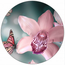 essbares Papier Orchidee und Schmetterling 19,5 cm