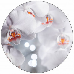 Essbares Papier weiße Orchidee 19,5 cm