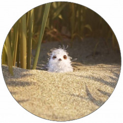 Essbares Papier Vögchen im Sand 19,5 cm