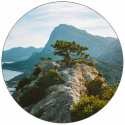 Essbares Papierbaum auf einem Felsen, 19,5 cm