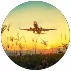 Essbares Papier Flugzeugflug 19,5 cm