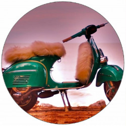 Essbares grünliches Papier Scooter mit Felloptik 19,5 cm