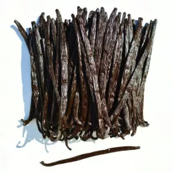 Exklusive Vanilleschote aus Uganda 250 g