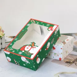 Weihnachtsplätzchen-Box grün Schneemann 22x15x7 cm