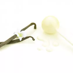 Kuchen-Spezialglasur mit Vanillearoma 260 g