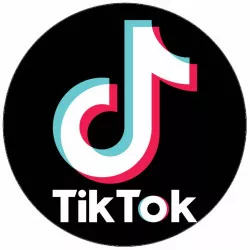 Essbares Papier TikTok 19,5 cm