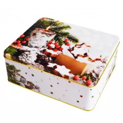 Metallische Aufbewahrungsdose für Weihnachtsplätzchen 21x17x8 cmWALDWEIHNACHTSZEIT