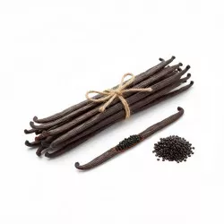 Bourbon-Vanilleschote – Gourmet, 10 Stk. / Grad A (16 cm+)