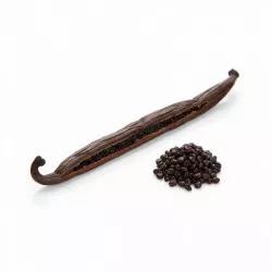 Bourbon-Vanilleschote – Gourmet 1 St. / Grad A (16 cm+)
